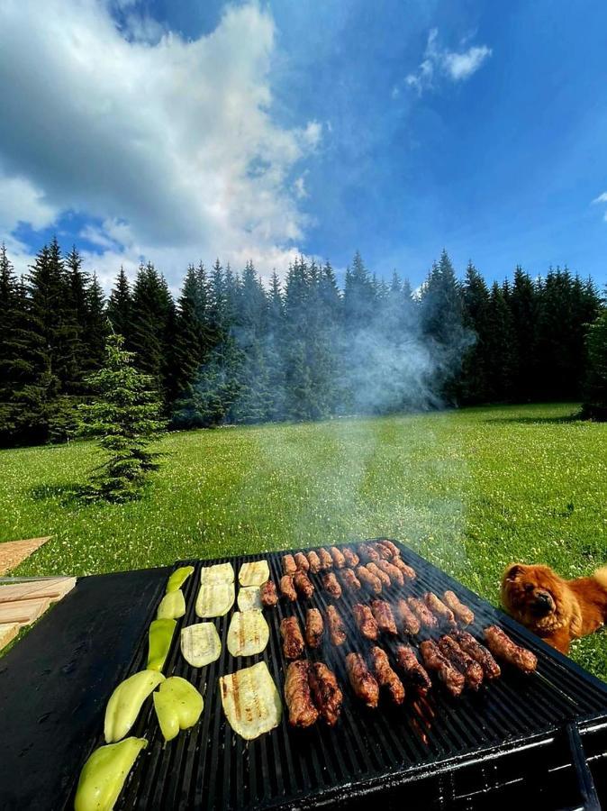 Rajska Suma Villa Zabljak  Luaran gambar