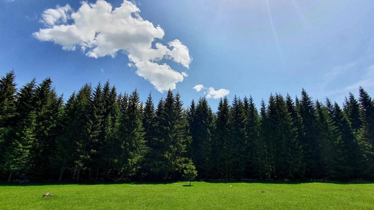 Rajska Suma Villa Zabljak  Luaran gambar