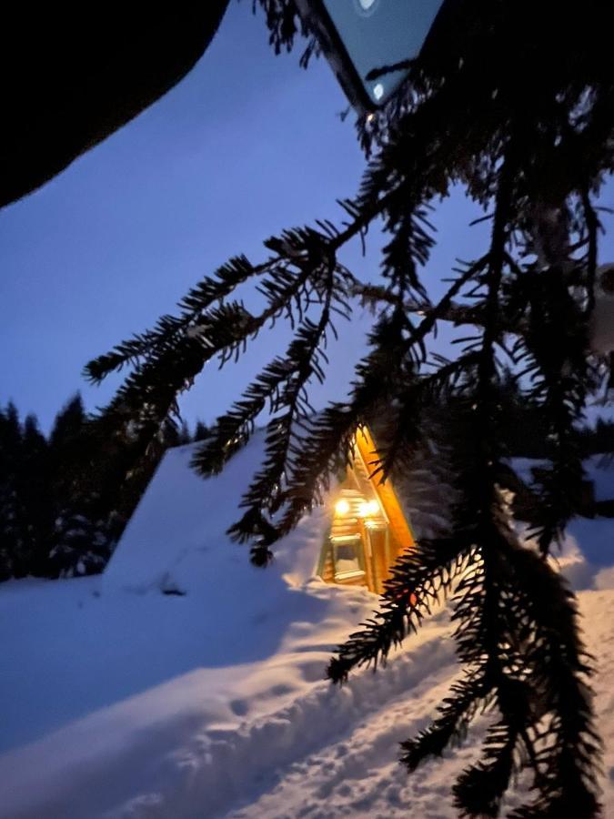 Rajska Suma Villa Zabljak  Luaran gambar